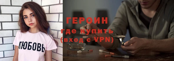 гашик Алексин