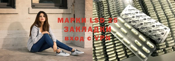 гашик Алексин