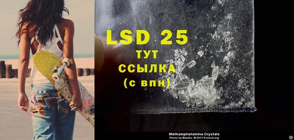 гашик Алексин
