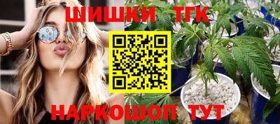 spice Дубна