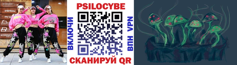 KRAKEN зеркало  Новокубанск  Галлюциногенные грибы Psilocybine cubensis 
