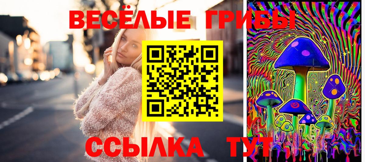 Галлюциногенные грибы прущие грибы Новокубанск