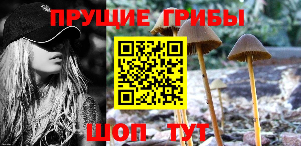 Псилоцибиновые грибы Psilocybe  цены наркотик  Новокубанск  Псилоцибиновые грибы мухоморы  Вход с VPN 