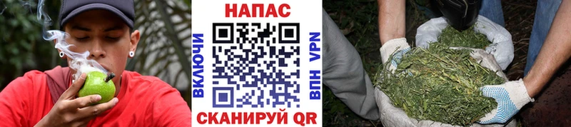 Конопля Ganja  мориарти наркотические препараты  Новокубанск 